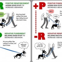 Negative Reinforcement dog training method