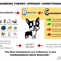Operant Conditioning Dog Training Method