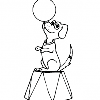 circus funny dog pictures to color