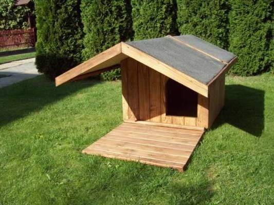 diy dog houses ideas for garden placement