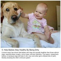 dog facts for kids