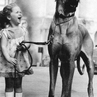 funny big dog with little girl