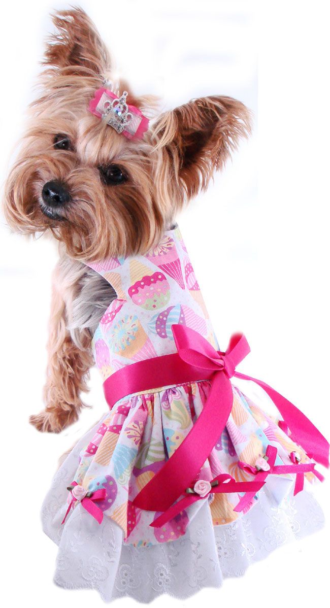 funny dog pink dress picture