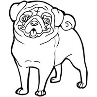 funny pug dog pictures to color