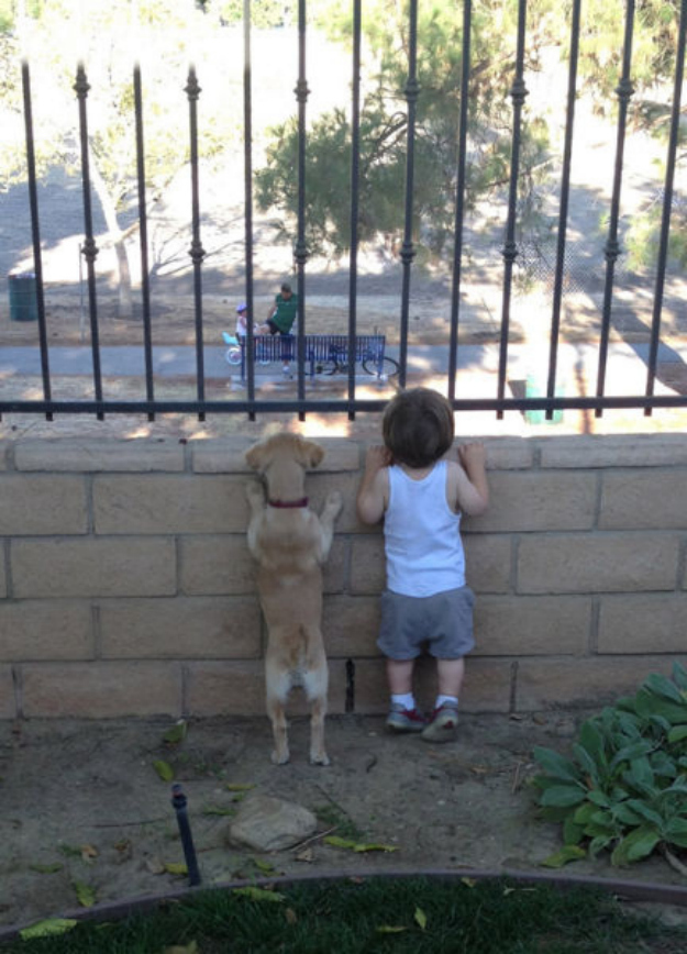 spying dog and kids funny picture