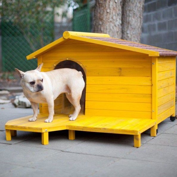 very nice yellow color diy dog houses ideas