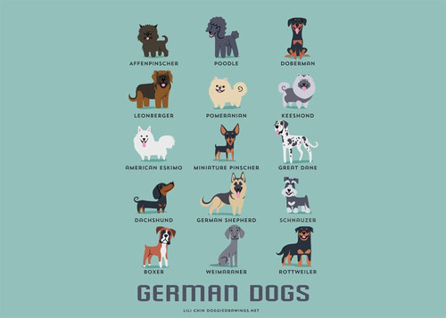 German Dogs Breed Picture
