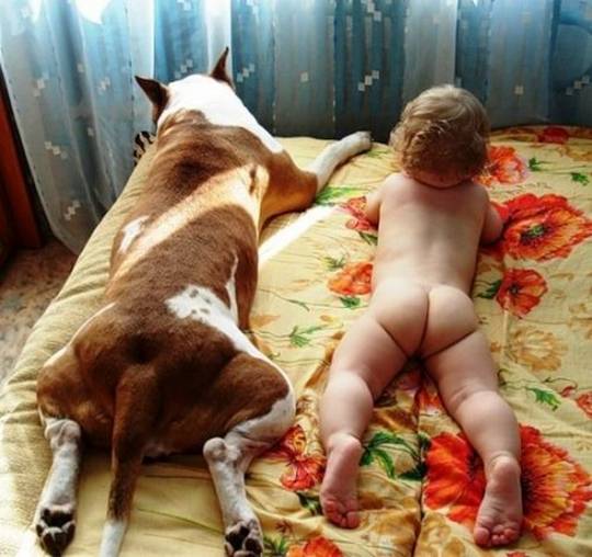funny dog pictures for kids relaxing together
