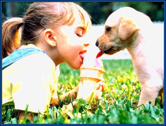 funny dog pictures for kids sharing icecream