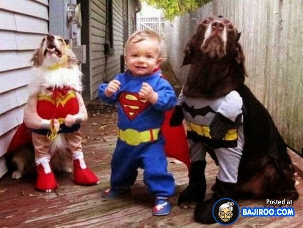 funny dog pictures for kids super hero