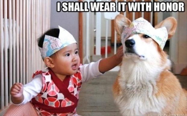 funny dog pictures for kids with captions