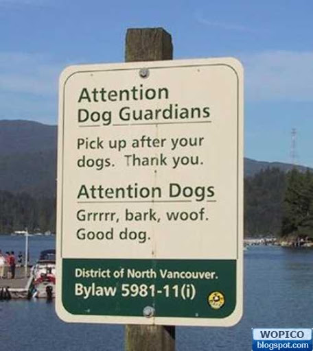 Funny Dog Pictures Sign to pay attention