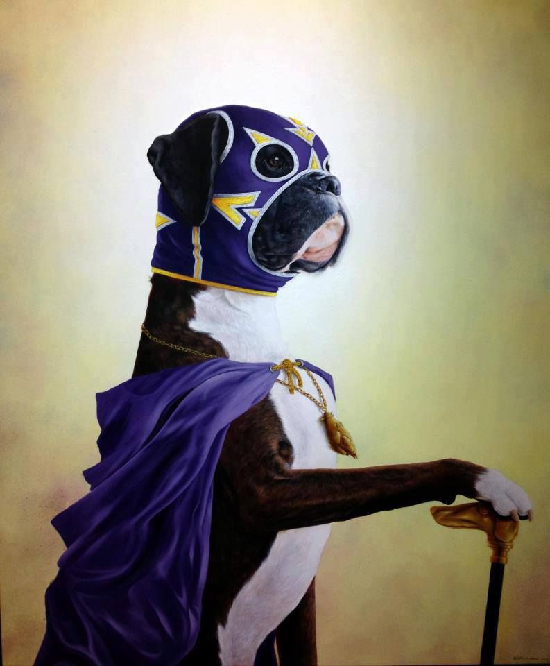 boxer dog as super hero picture