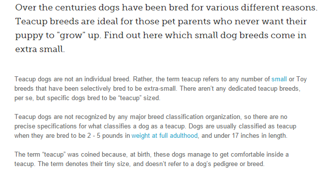 teacup dog breeds 1