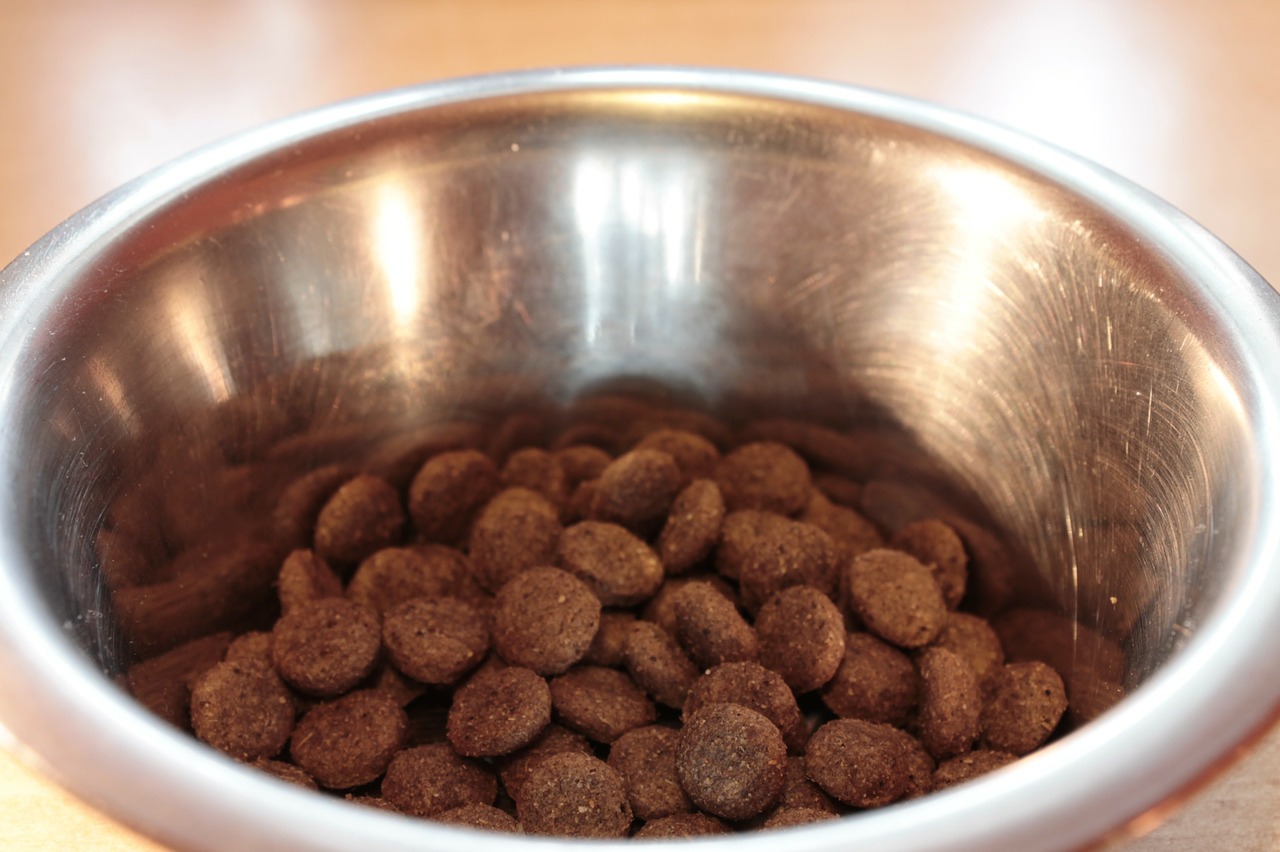 What's in your dogs food bowl? Choose carefully. 