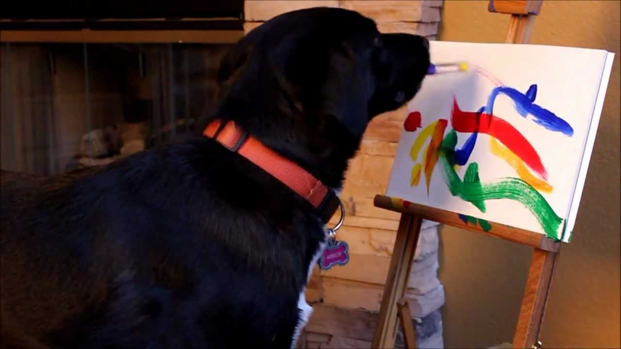 arbor-painting-dog