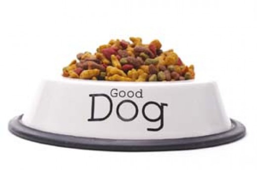 Buy Natural Dog Food