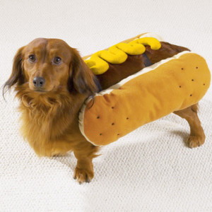 hot-dog-mustard-small[1]