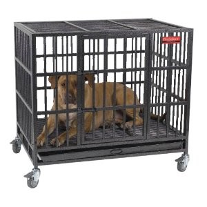 Pro Empire Dog Crate Review