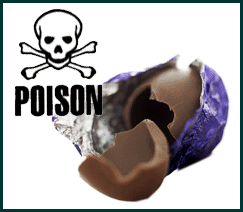 chocolate is poison for dogs