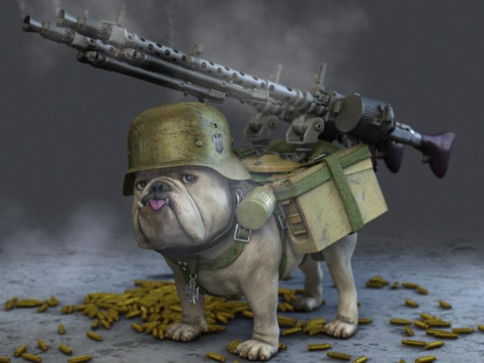 funny animated dog picture with guns