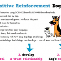 negative reinforcement examples in dog training