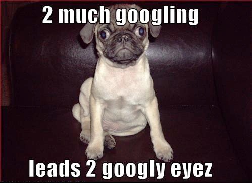 googly eyez funny dog pictures