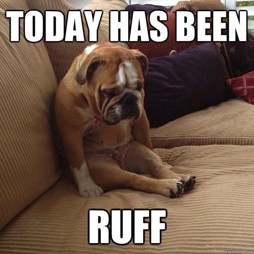 ruff day funny dog pictures