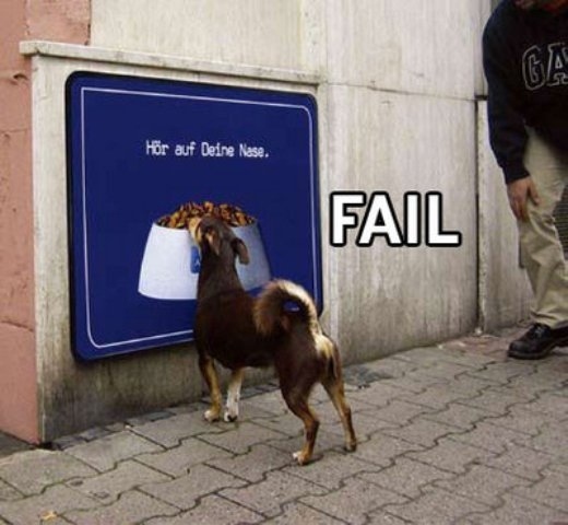 the dog who was tricked funny picture