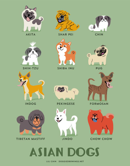 Asian Dogs Breed Picture