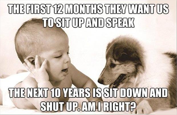 funny dog pictures for kids talking
