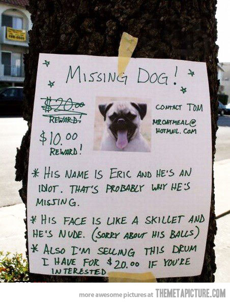 funny dog pictures with signs n comment