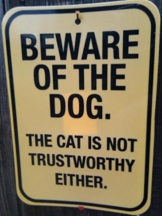 Funny pictures sign beware of the dog
