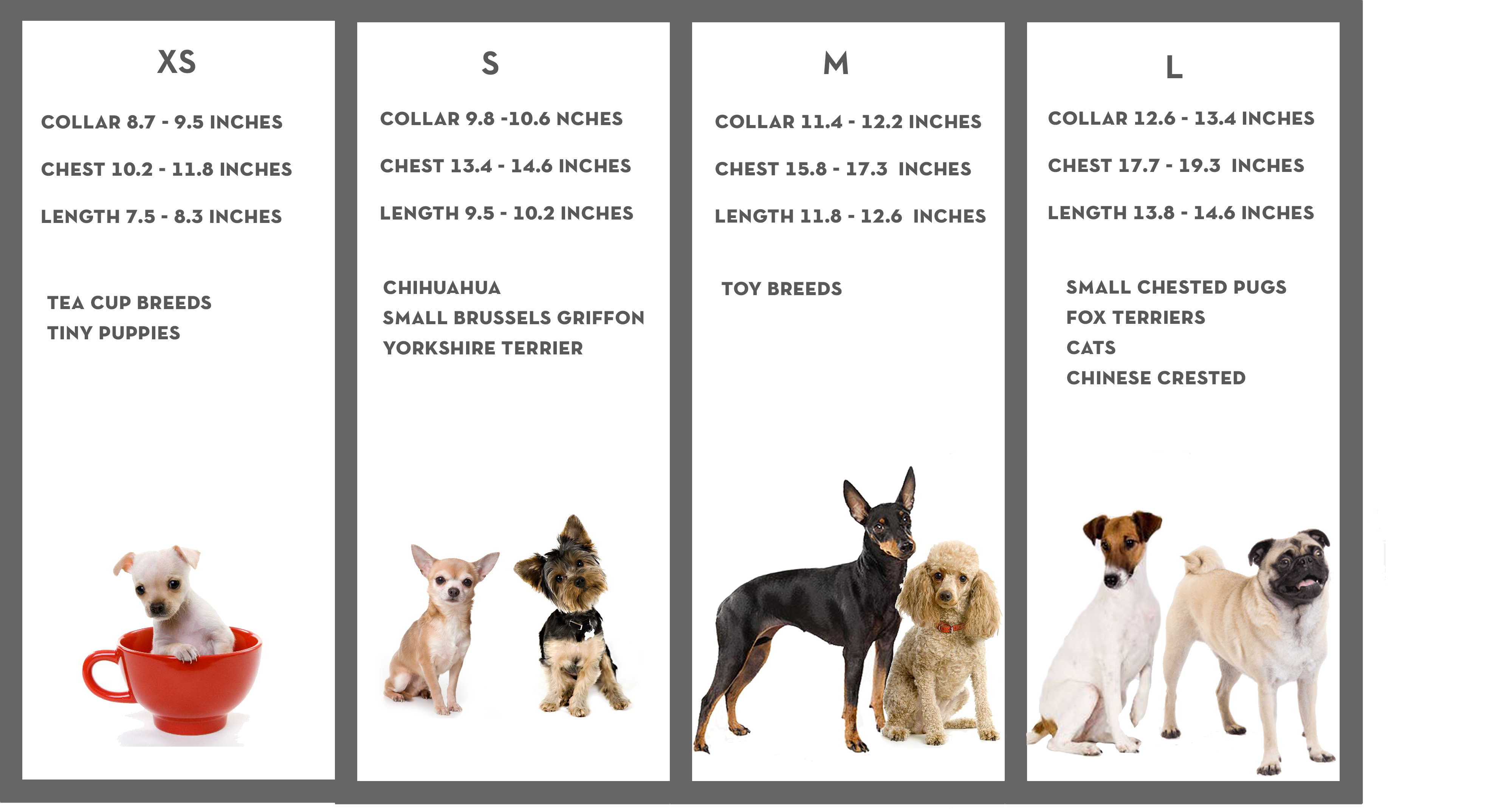 small dog breeds chart list