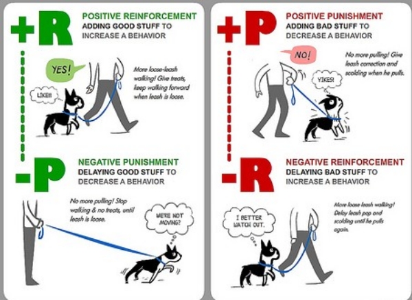 negative-reinforcement-dog-training-method-dog-breeders-guide