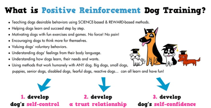 Positive Reinforcement dog training method - Dog Breeders Guide